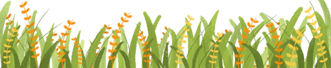 廊坊市妇联开展木兰有约,木兰法治宣讲团