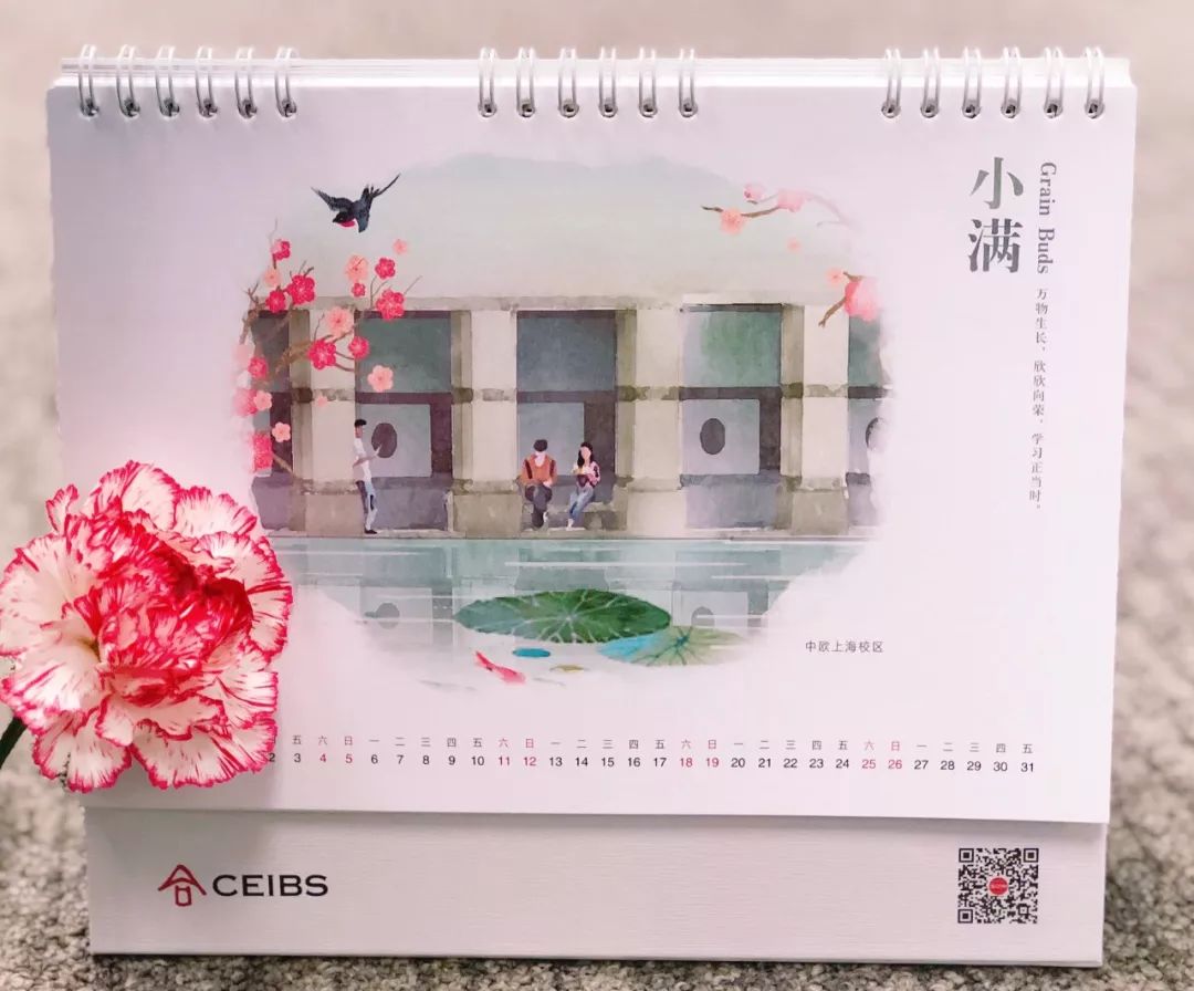 不容错过的爆款全集,10部最值得看的动画