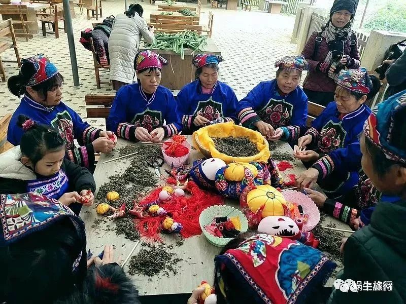 上林葵花节景点,广西上林葵花文化旅游节