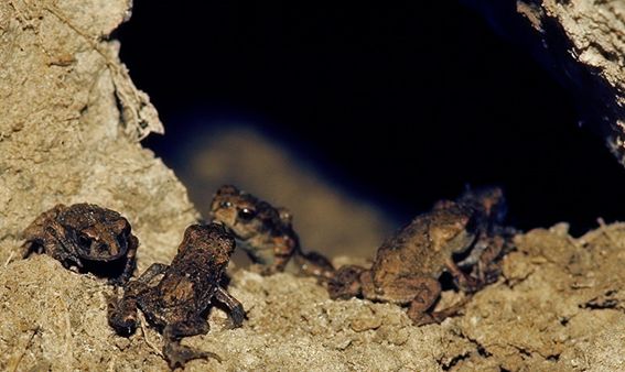 他做了15年自然测量员，只为得到更好的荒野