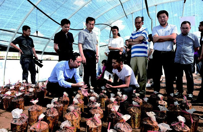 「吉农关注」“宁波经验”，打通和龙经济血脉