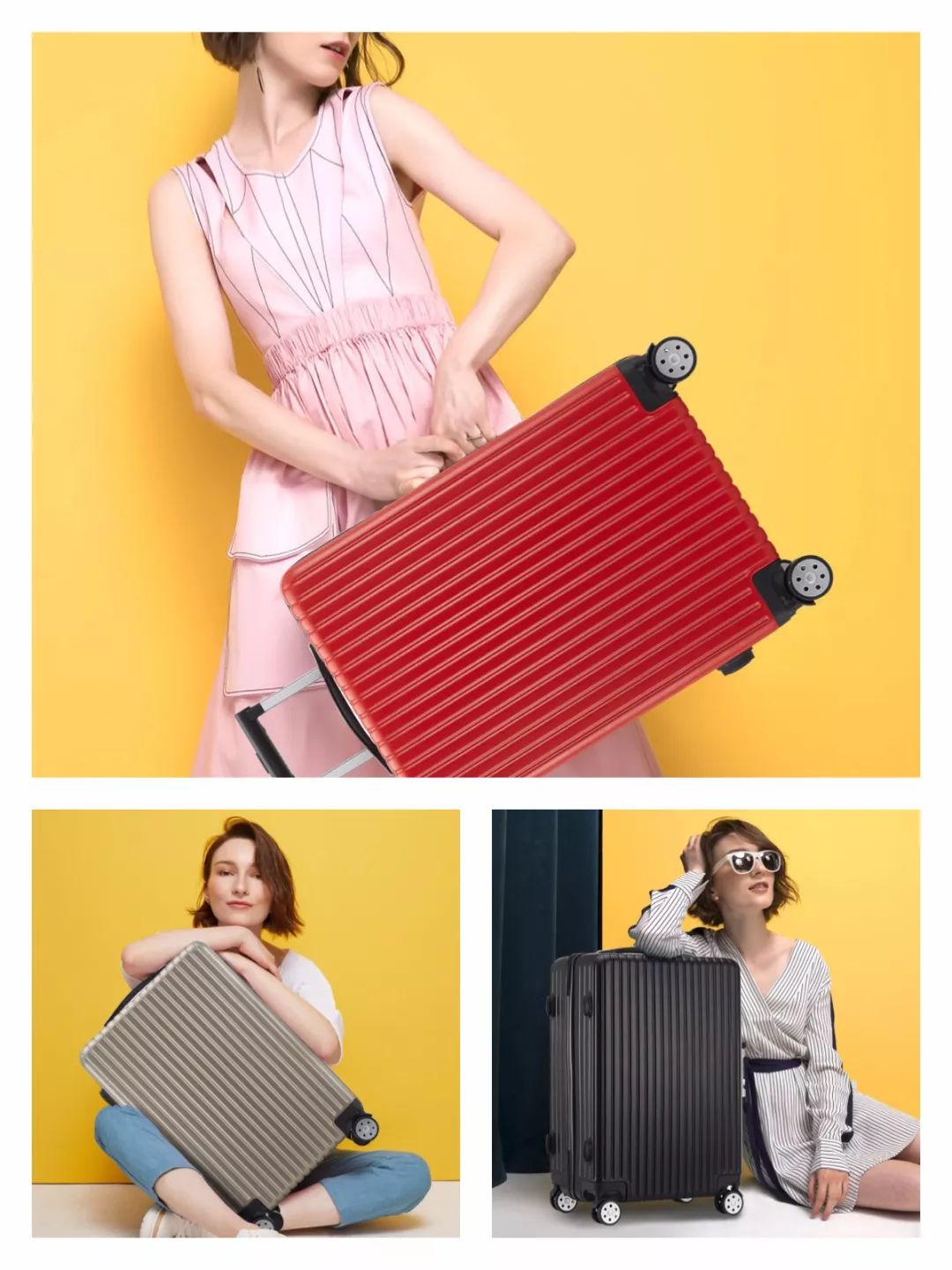 难熬的4月，幸好有它们陪我