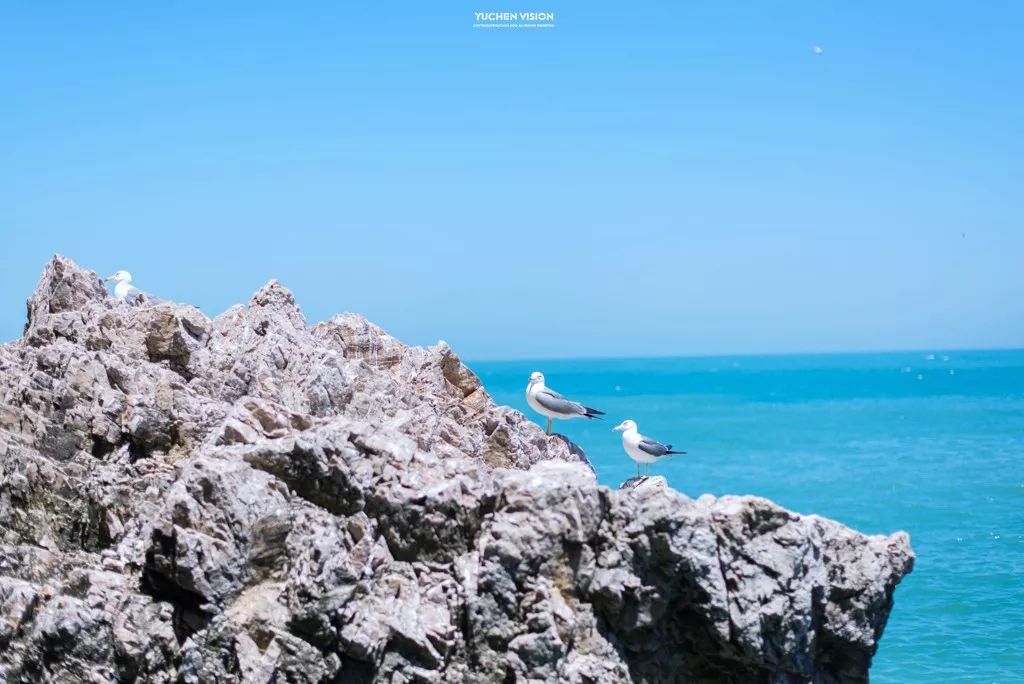 最具幸福感的县级市中唯一一座上榜的北方小城，光是海鲜就能吃到你激灵！