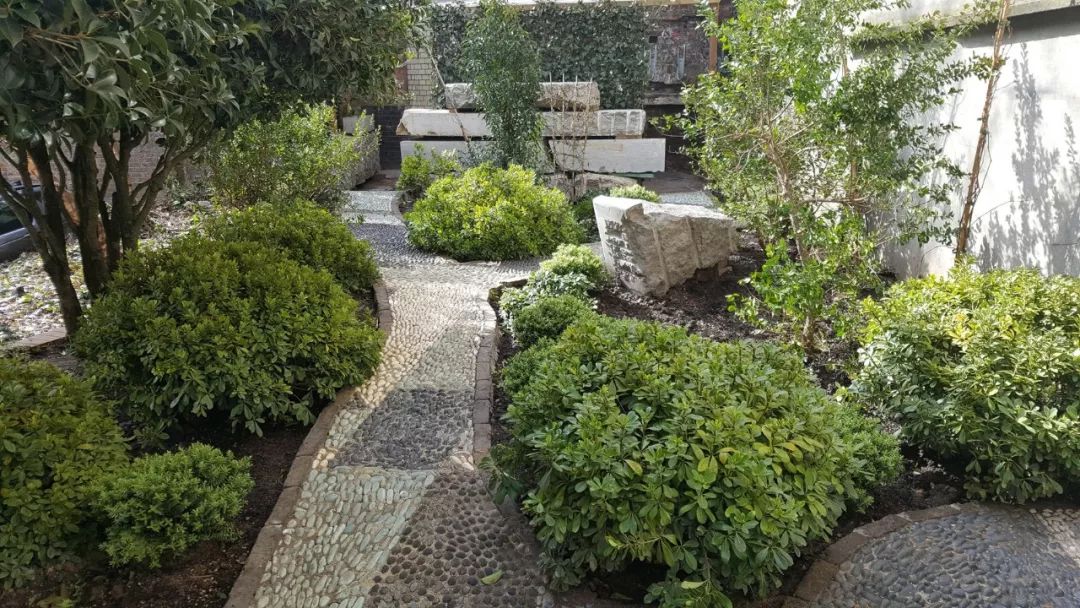 高端公寓烂尾楼,烂尾楼带来的惊喜