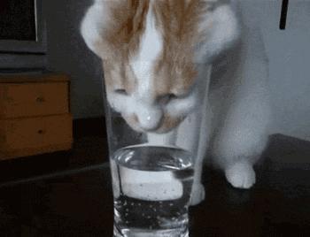 9岁小孩双肾长满结石,9岁男娃尿血肾脏竟取出