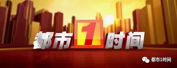 13吨冰冻虾被集中销毁,17吨梭子蟹被抓