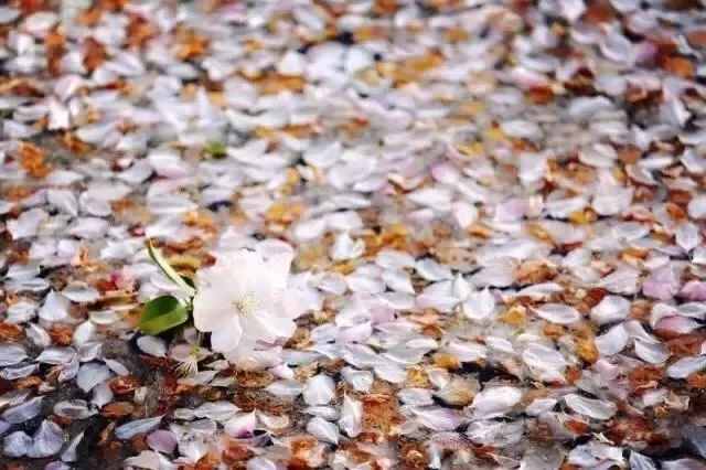 摄影学会了能拍什么,摄影到底应该拍什么