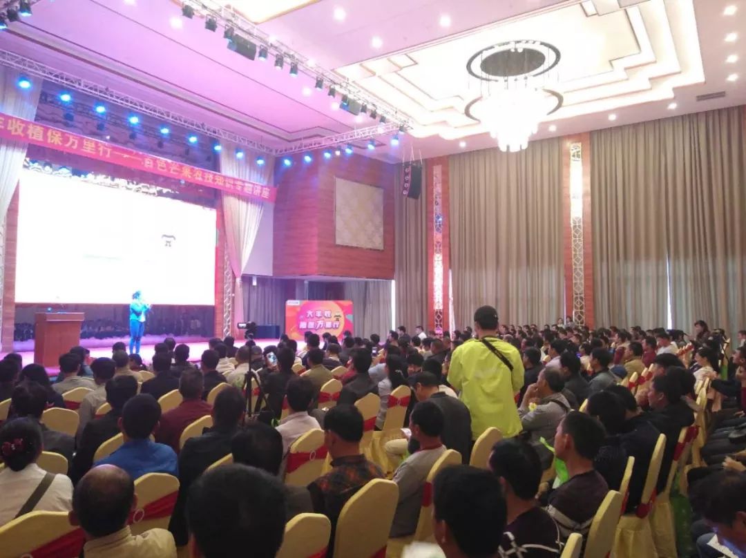 喜报丰收,大丰收喜讯连连