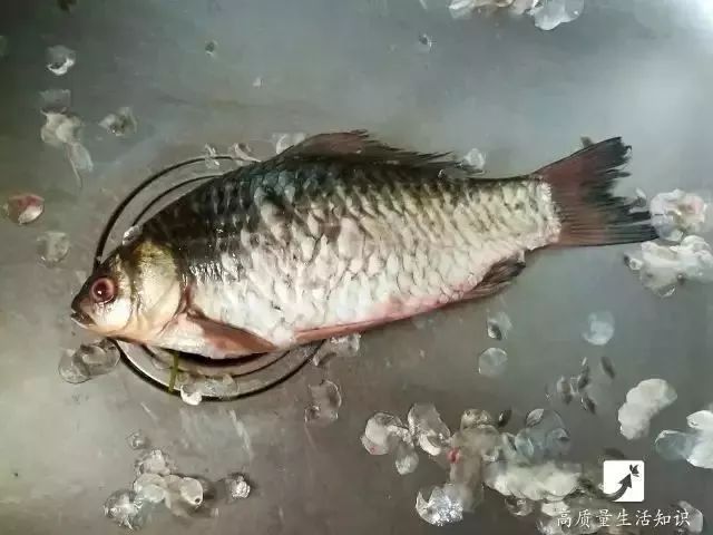 妙招｜去除鱼鳞太难？那你是不知道这几招！