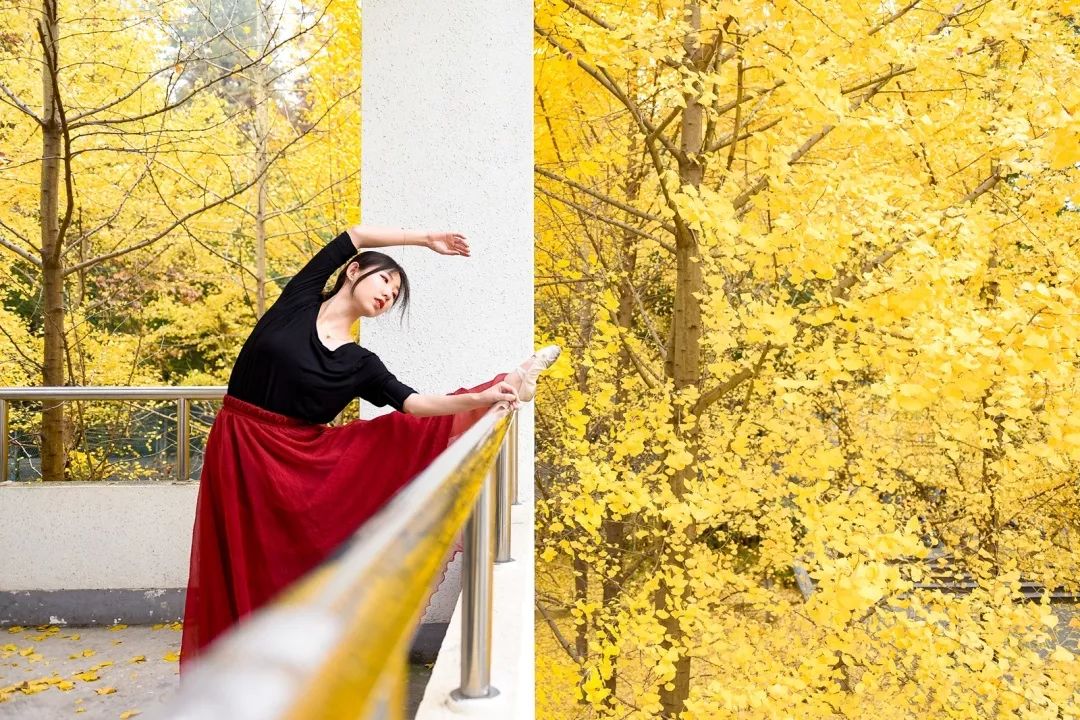 “妈，我在华师看了一场金黄色的雪！”