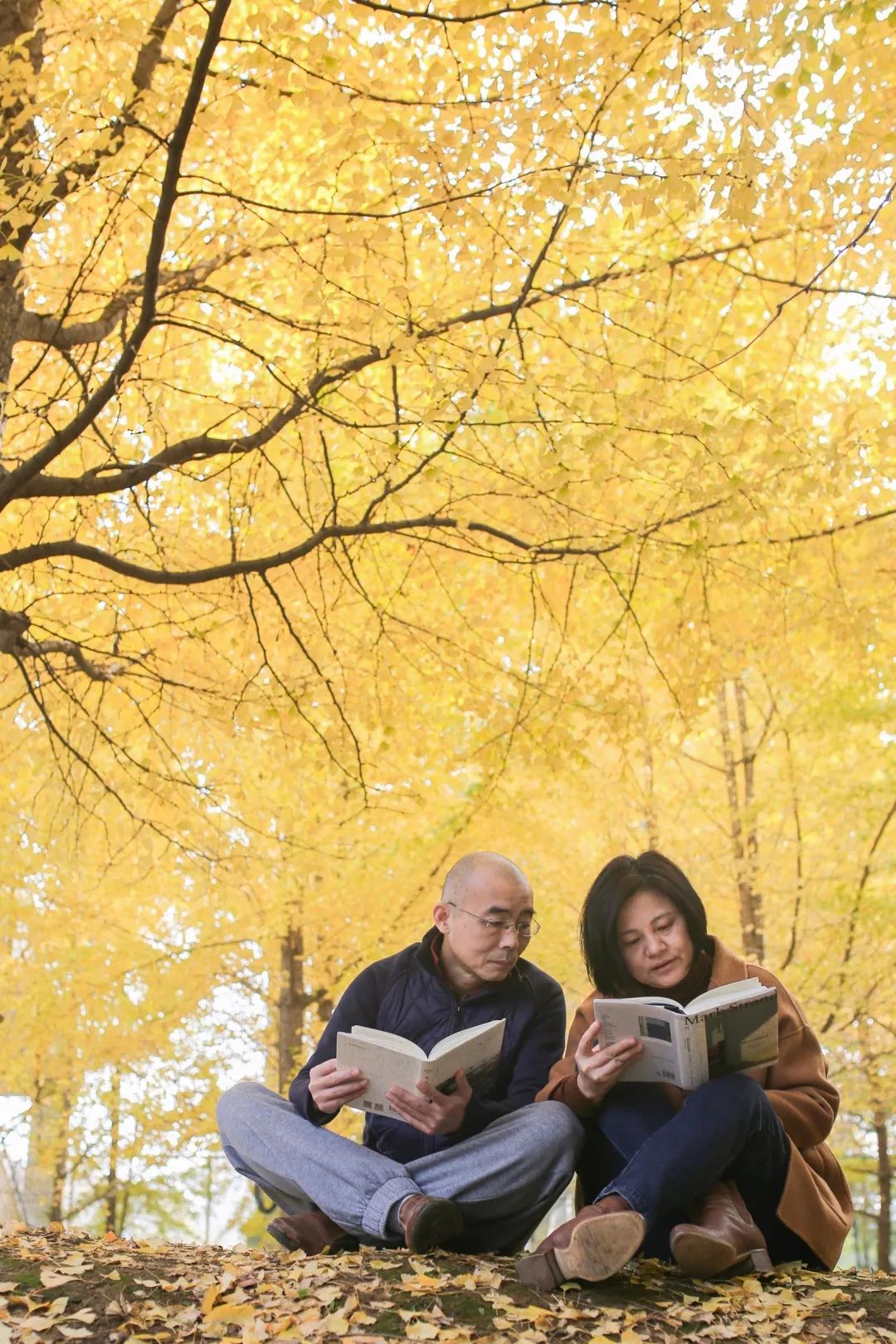 “妈，我在华师看了一场金黄色的雪！”