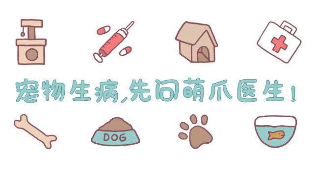 猫粮狗粮好不好卖呀,狗粮猫粮清仓特价大包装