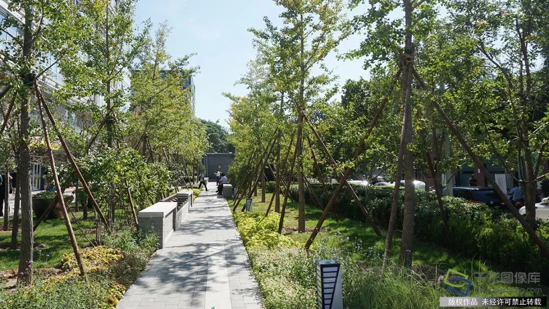 眼里只有南锣鼓巷、国子监？北京最新10条高颜值街巷在这呢