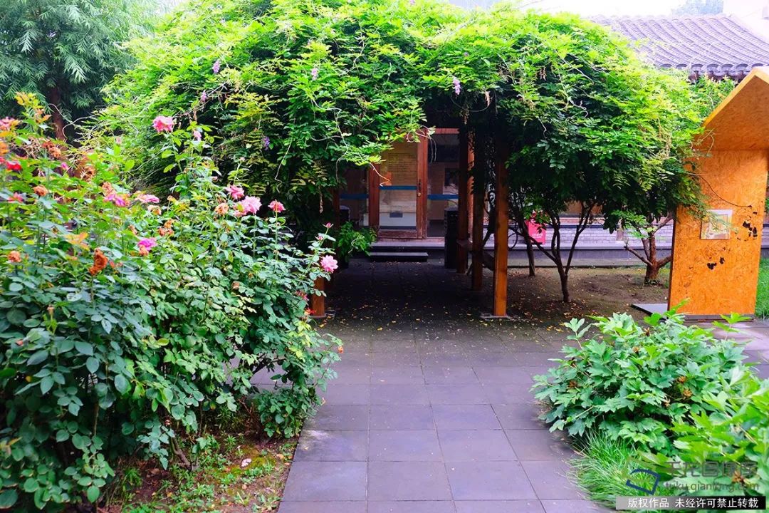 眼里只有南锣鼓巷、国子监？北京最新10条高颜值街巷在这呢