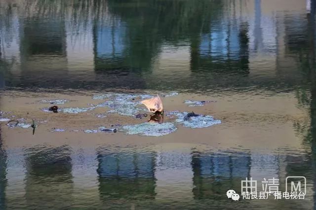 陆良一中景色照片,陆良一中校园风景