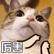 为什么我不支持用*处私**清洗液?