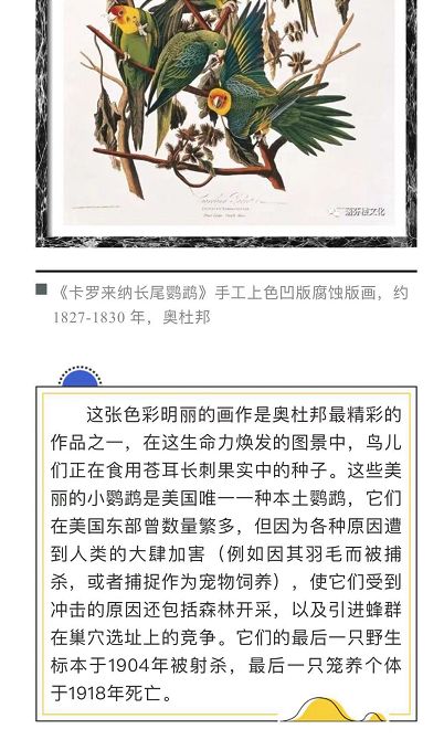 团｜《艾特熊和赛娜鼠》屡获国际大奖的温暖绘本+艺术儿童启蒙日历，爸爸陪娃的神器+用44只东北大白鹅，才攒出1床的鹅绒被