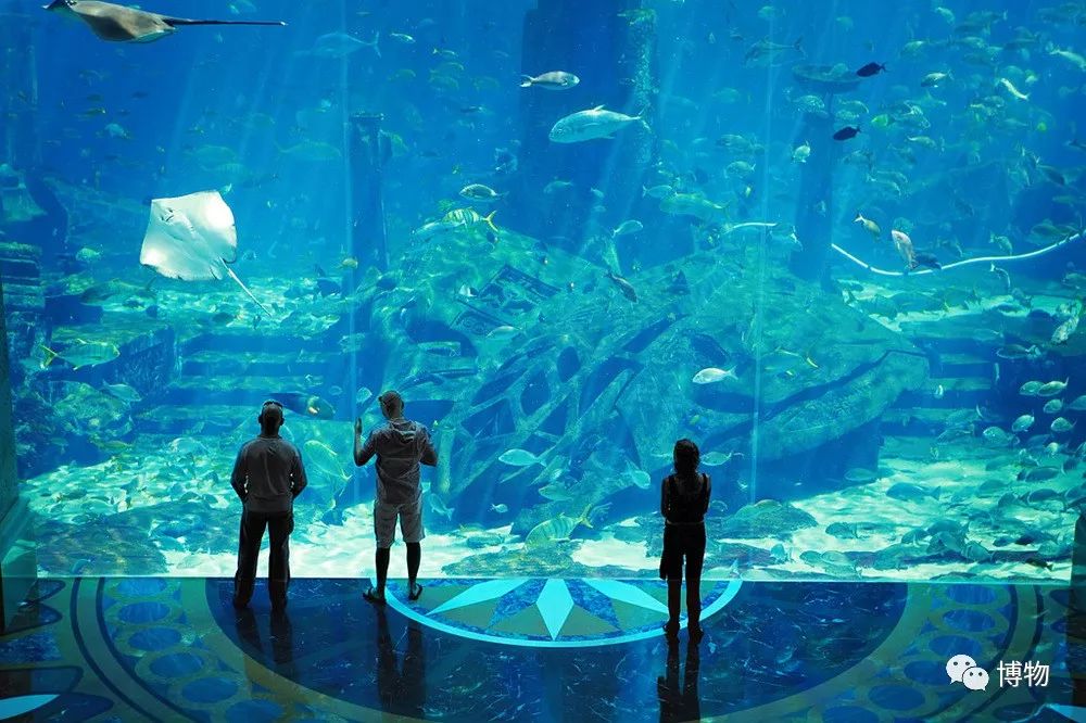 亚特兰蒂斯海底的传说,海底最深处有亚特兰蒂斯吗