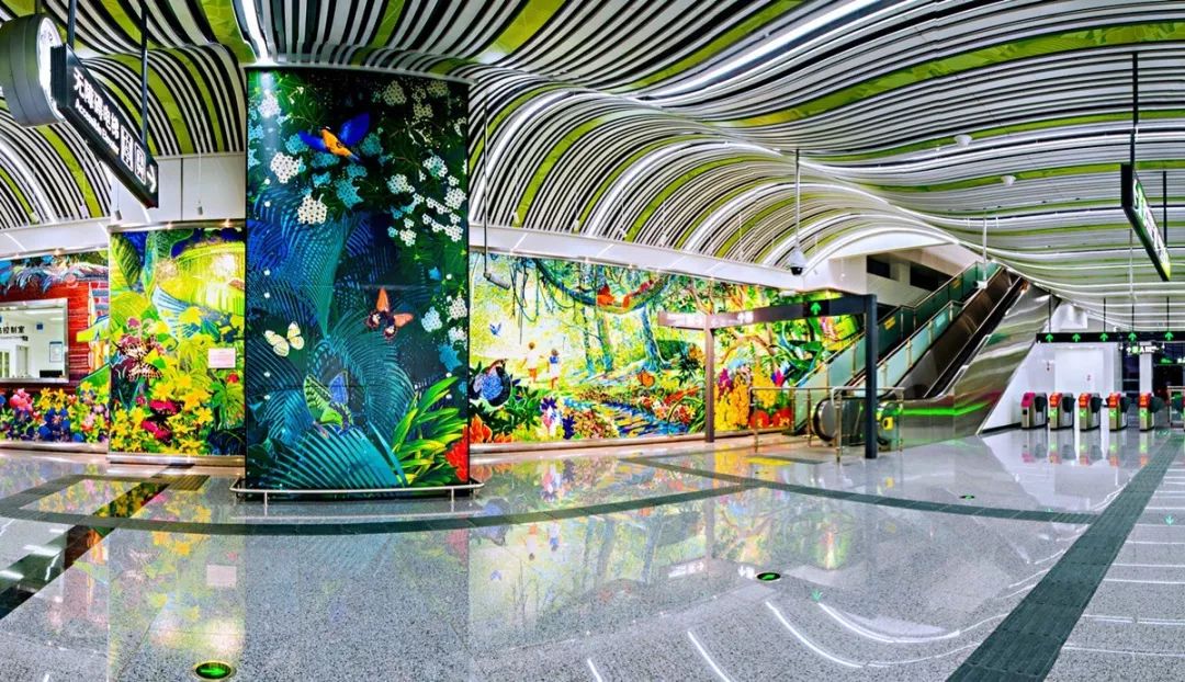 将改革进行到底｜听“老校长”给你讲故事——驾校这三十年