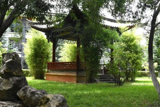 丽江在世界排名第一的大学,想想就激动