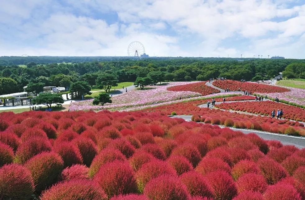 十大最美的网红打卡地,打卡2018很火的网红地图