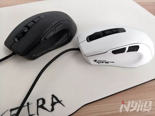 白冰豹子,黑冰和白冰视频