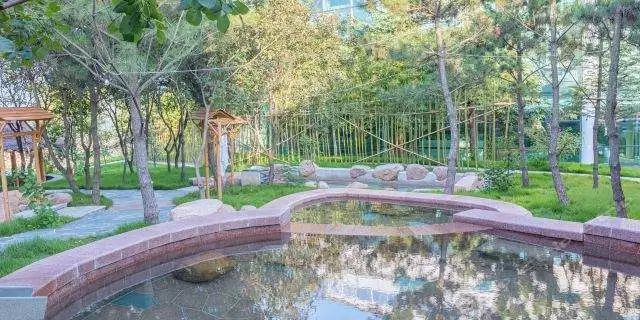 青岛温泉滑雪春节去哪玩,青岛冬季温泉旅游