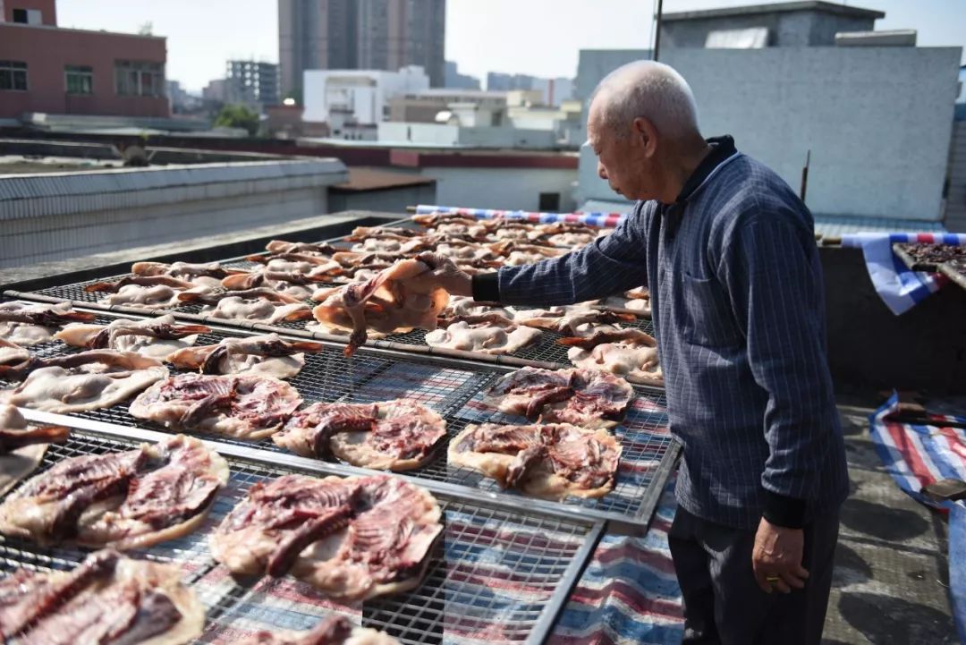 这里是佛山,小镇松岗