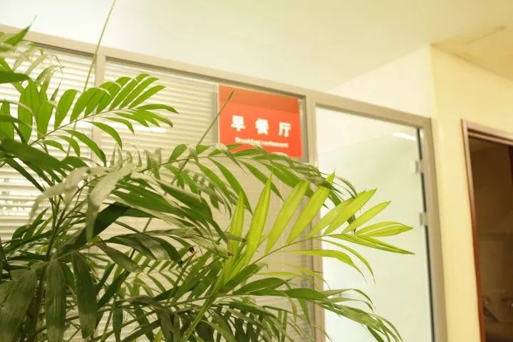 「冬日暖阳」“让我扶您一把!”——中日医院体检中心就医体验