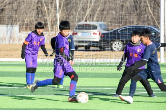 闃冲厜灏戝勾閫愭ⅵ璧涘満,闃冲厜灏戝勾鑱氳禌鍦烘縺鎯呴鎵睍椋庨噰