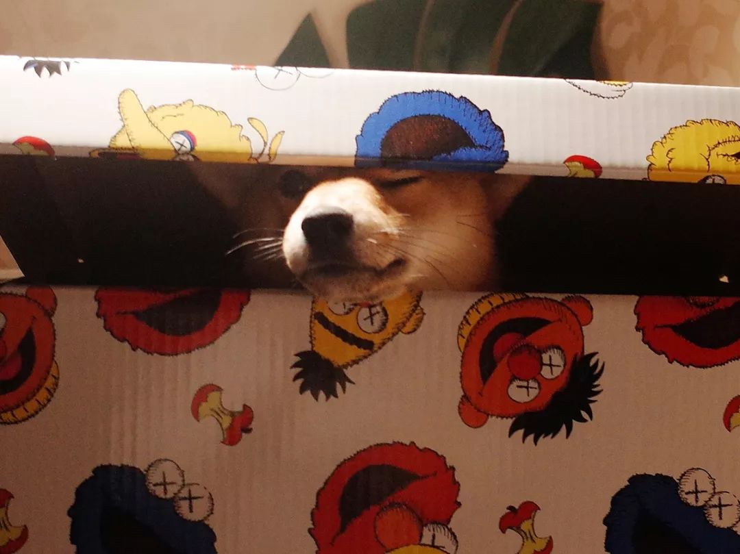 nikereactundercover,nikereactelement87评测