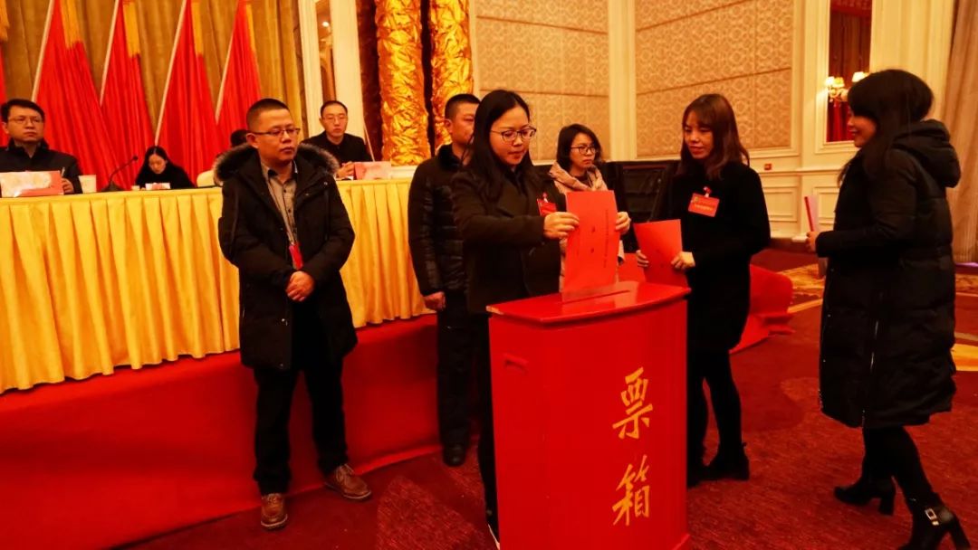 青联大会召开,在青联和学联大会上讲话