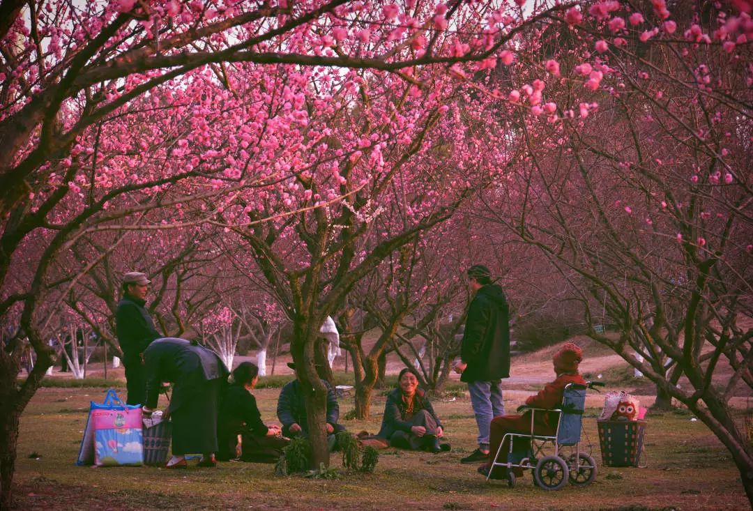 最美的风景在路上在心里,最美的风景在心里也在路上