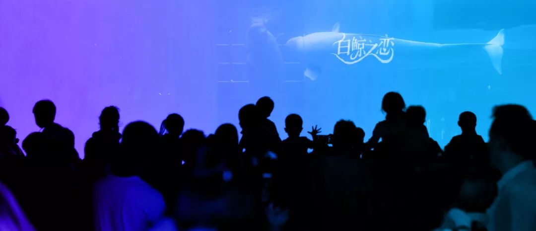 最美的风景在路上在心里,最美的风景在心里也在路上