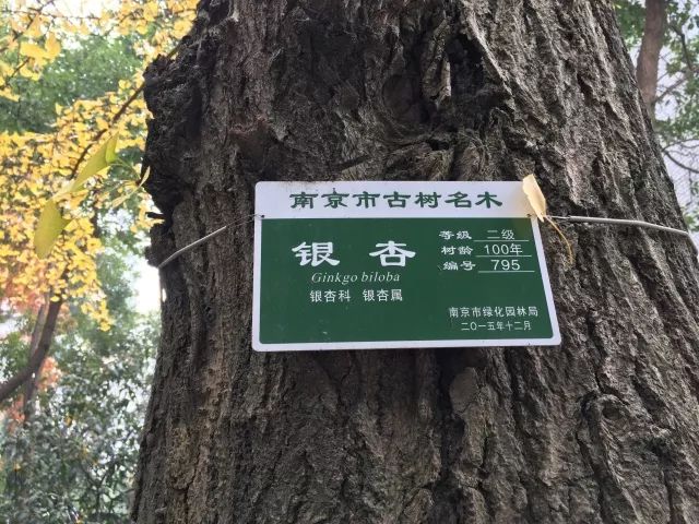 下关十二中怎么样,下关区十二中