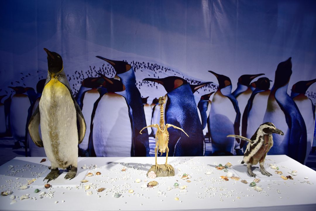 一些武汉的好消息,好消息湖北武汉