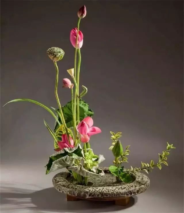 二十四史经典语录100个,100句古今绝美句子