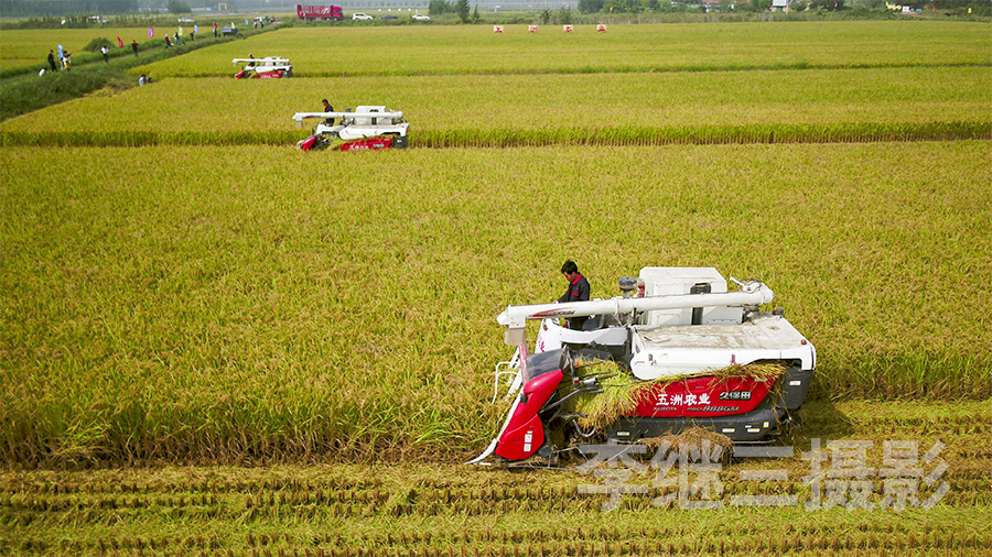 农村土地经营模式改革探讨,深化农村土地改革的政策与策略