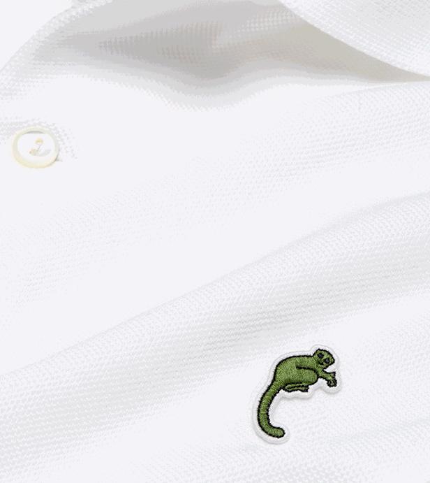 这一回，用了86年的“鳄鱼logo”再次被换，只为保护濒危动物！网友：这是2019年最棒的公益