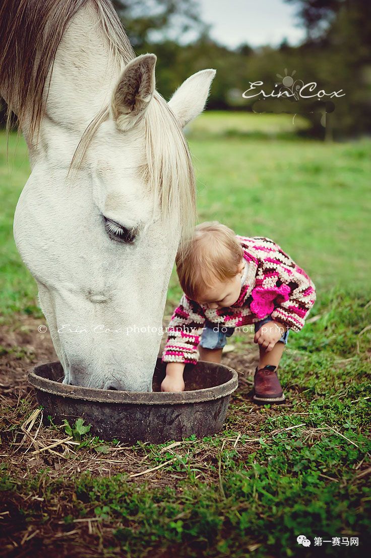 鬼马系列写真,马写真高清图片大全