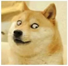 明天发货=tomorrowcanfa？微信上的代购竟然一夜间成了土味英语段子手