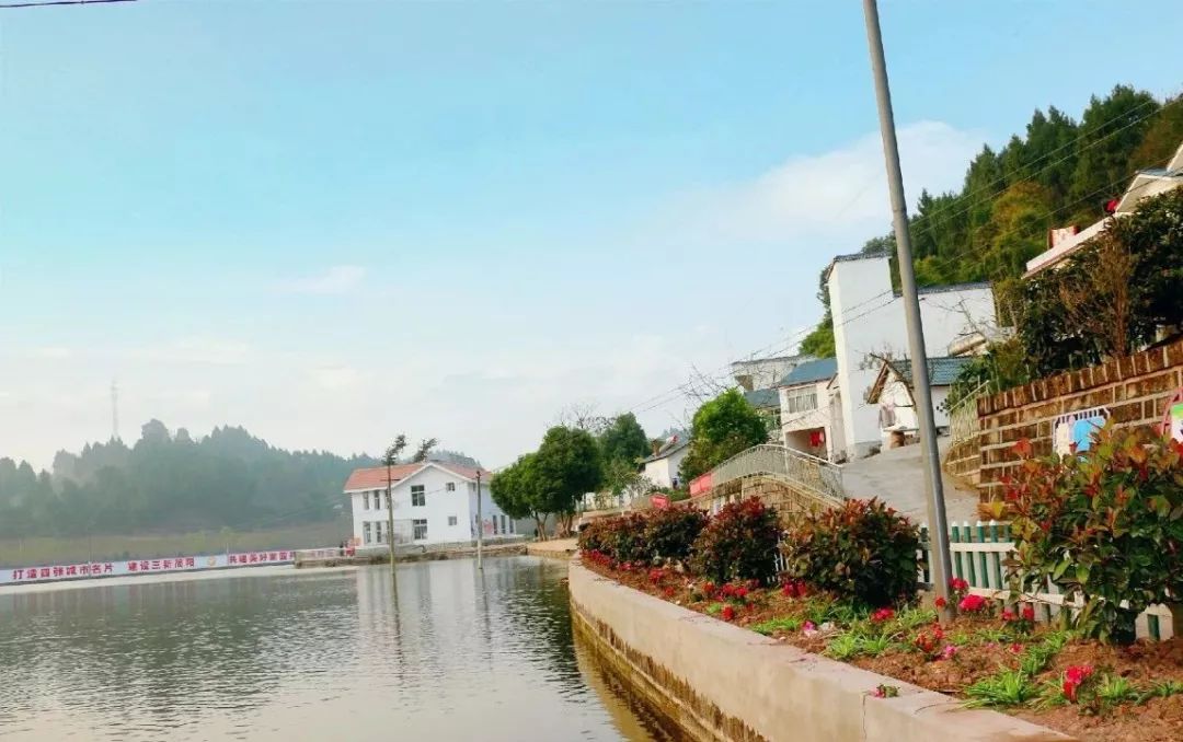 聚焦乡村振兴共建和谐美丽新农村,聚焦三农合村并居