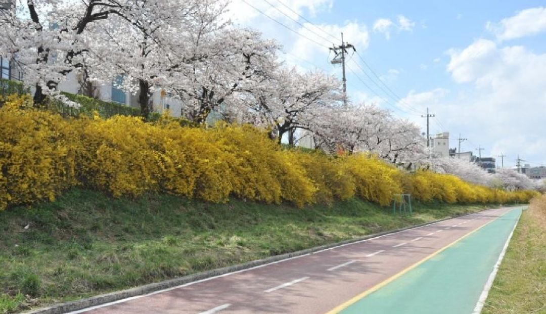园林大讲堂｜清溪川：韩国人最引以为傲的生态改造项目
