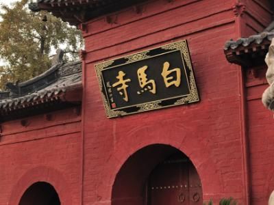 小寒丨穿越千年伴君共乘——丝绸之路上的马文化