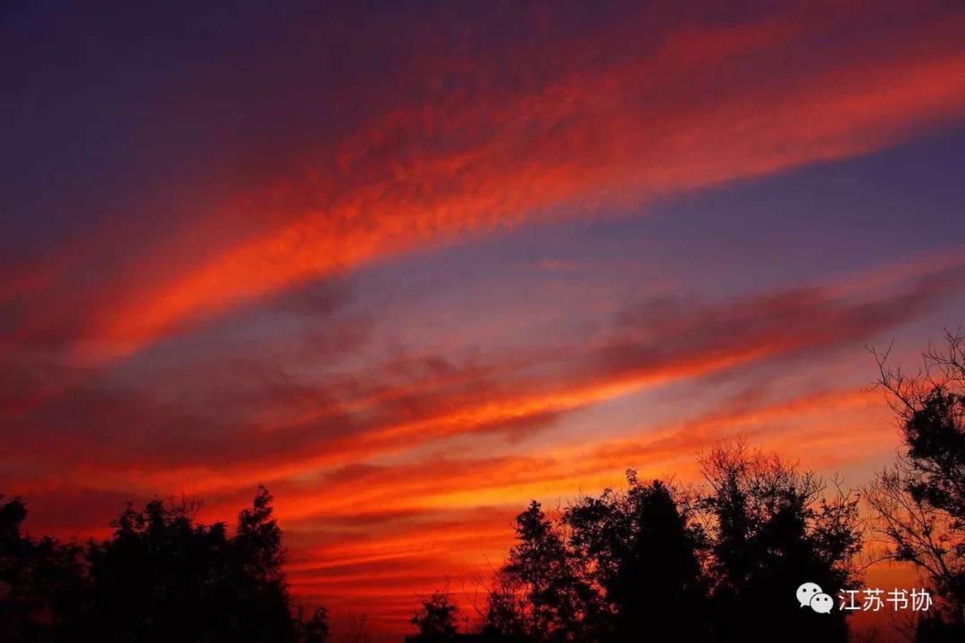 顾城经典的诗句有哪些,顾城的诗句唯美短句