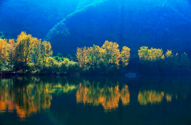 四川有座紫色小城，5月比美澳洲，比大理更多情