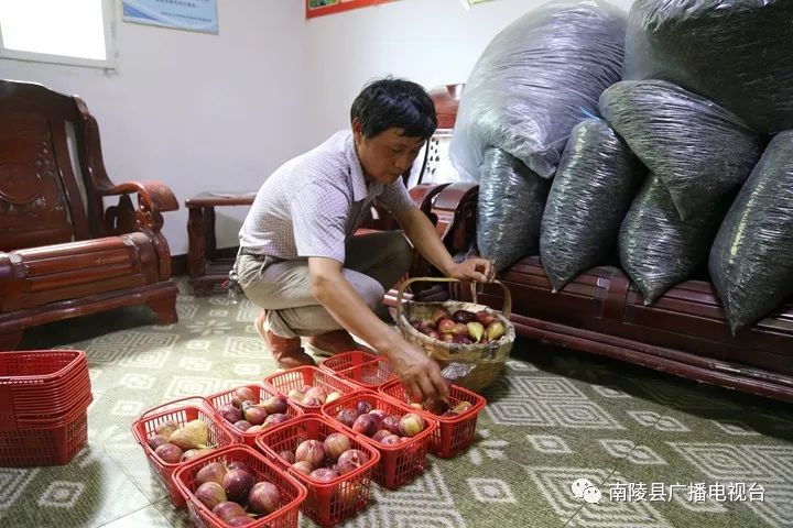 南陵民间故事,南陵历史故事