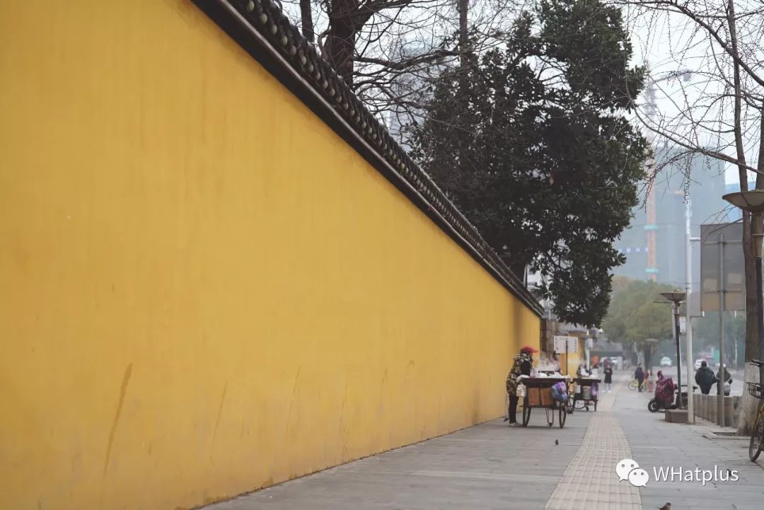 南普陀寺素菜馆推荐,观音山十大素菜馆