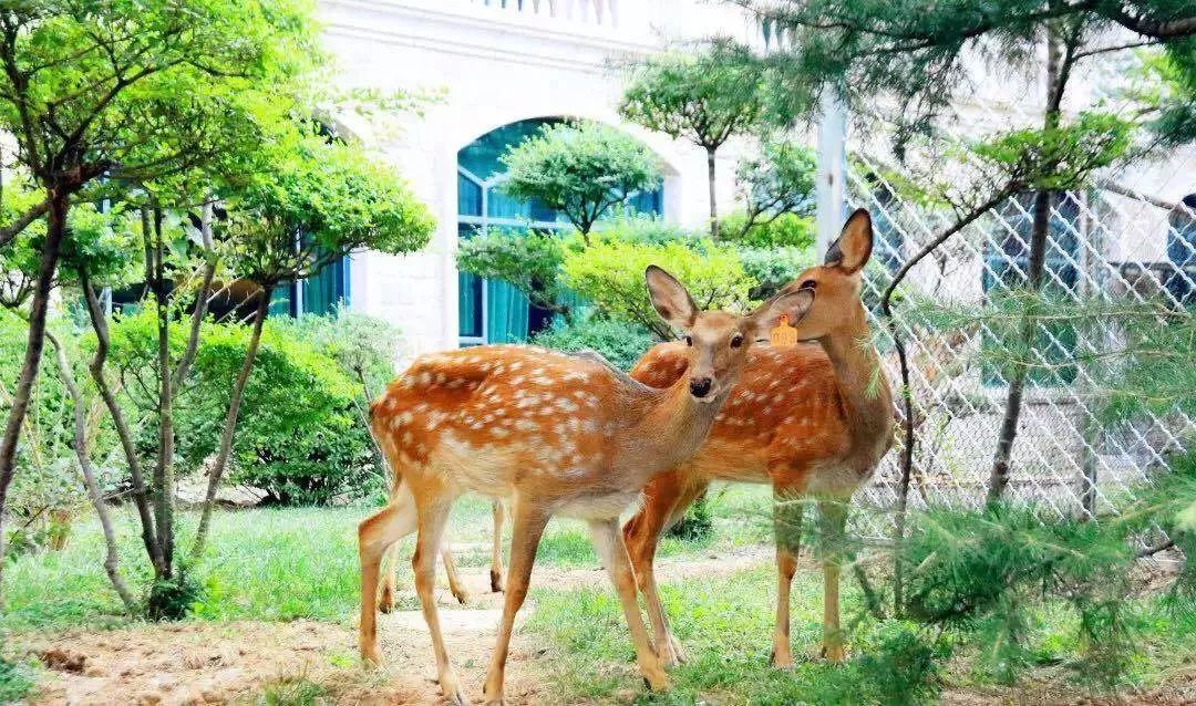 恒大酒店集团独创什么模式,恒大酒店集团品牌系列