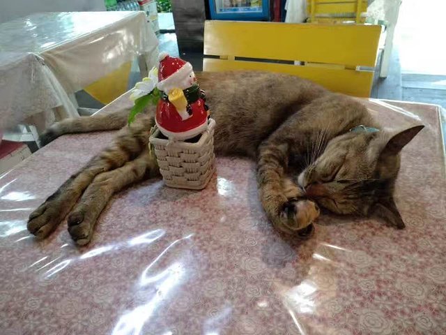 泰国曼谷芭提雅普吉岛自由行,自由行曼谷普吉岛芭提雅